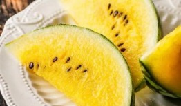 郑州吃瓜400万网红,揭秘网络红人幕后风云