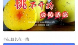 黄桃爆料新闻视频,揭秘新闻背后的真相