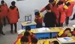 河南学校爆料事件视频,揭开教育乱象的真相