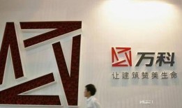 新闻爆料房地产公司,调查启动，市场影响待定