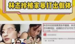 七口之家爆料视频大全集,揭秘真实家庭生活点滴