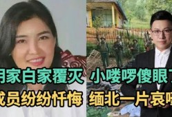 真人爆料小故事大全视频,小故事大全背后的真实瞬间