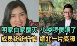 真人爆料小故事大全视频,小故事大全背后的真实瞬间