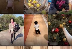 两个孩子爆料视频在线观看,两个孩子爆料视频背后的惊人真相