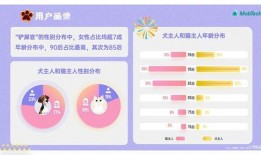 娱乐吃瓜酱ppt排版图,揭秘潮流视觉盛宴