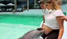 海豚姐吃海鲜爆料视频,独家爆料带你领略海鲜美味之旅