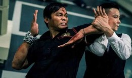 托尼贾泰拳爆料了吗视频,揭秘幕后训练与实战技巧