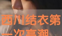 西川在线观看,探索西部风情，尽享云端视听盛宴