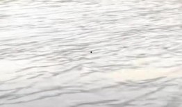 爆料广州暴雨视频,城市瞬间变“水城”