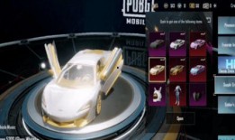 双人跑车皮肤最新爆料,揭秘最新双人跑车皮肤惊艳亮相