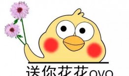 黑哥爆料视频的微博,揭秘娱乐圈不为人知的秘密