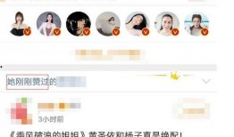 网免费吃瓜黑料泄密爆料蘑菇视频,蘑菇视频泄密事件深度剖析