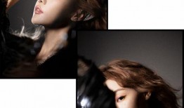 圈内爆料明星合集,明星幕后故事大揭秘