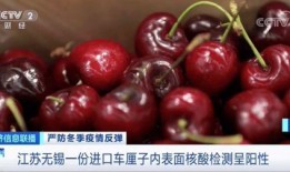 车厘子市场爆料视频大全,揭秘价格波动背后的真相