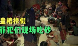 皇粮在线观看,揭秘宫廷美食传奇