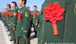 英国退役军官爆料视频真实,揭秘真实爆料视频背后的真相