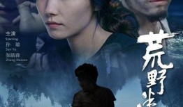 情迷在线观看影片,网恋奇缘，虚拟与现实的爱恋纠葛