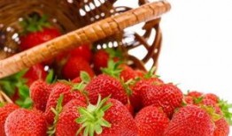 草莓果冻爆料视频大全,揭秘幕后真相与精彩瞬间