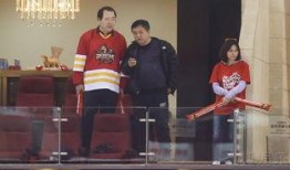 英达爆料丁玲完整视频,揭秘那段尘封的历史