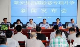 秦安县电视台新闻爆料,当地某企业涉嫌违规操作，环保问题引关注