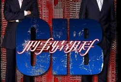 刑事情报科在线观看,揭秘网络犯罪背后的秘密