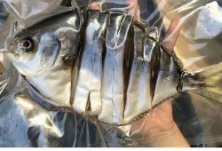 早期野生菌爆料视频大全,早期野生菌爆料视频大全精选回顾