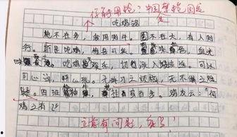 娱乐吃瓜酱仿写,揭秘明星背后的秘密与八卦